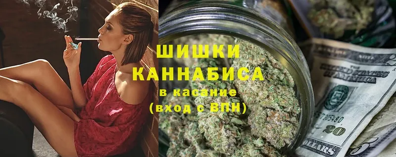 где можно купить   Каменка  Конопля план 